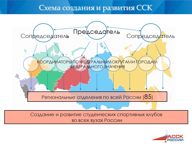 Председатель Сопредседатель Сопредседатель КООРДИНАТОРЫ ПО ФЕДЕРАЛЬНЫМ ОКРУГАМ И ГОРОДАМ  ФЕДЕРАЛЬНОГО ЗНАЧЕНИЯ Региональные отделения